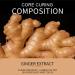 Ginger Hair Mask - Repair Damage, Professional Treatment for Dry, Color Treated Hair - Buy Online on GoSupps.com