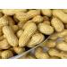 Premium Raw Peanuts in Shell for Birds, Squirrels, Deer & Wildlife - 5 lbs - Buy Online on GoSupps.com