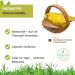 Buy Bird Swing for Budgies & Cockatiels | Coconut Swing & Accessories for Happy Pets - Buy Online on GoSupps.com