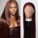 Long Straight Reddish Brown Lace Front Wig - Heat Resistant Synthetic Hair for Black Women - Cosplay and Daily Wear - Buy Online on GoSupps.com