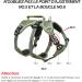 Heele Reflective Dog Dishes & Harness | Breakout Buckle Robust Handle Panic Crockery - Perfect Fit in Green - Buy Online on GoSupps.com