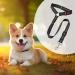 Adjustable Dog Car Seat Belt & Safety Harness - Buckling Accessory for Back Seat & Trunk - International Shipping - Buy Online on GoSupps.com