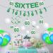 Gameza 60th Birthday Decorations for Men - 14PCS Golf Birthday Party Decorations 60th Birthday Decorations Women Men Golf Glitter Sixtee Banner Hanging Swirls 60th Golf Theme Bday Party Decorations Green 60th - Buy Online on GoSupps.com
