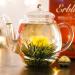 Creano 18-Piece Blossomed White Tea Gift Set - Premium Magnetic Box with Viewing Window & Silver Embossing - Ideal for Tea Lovers - Buy Online on GoSupps.com
