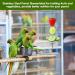4 Pcs Bird Skewer Stainless Steel Parrot Skewer Feeder Bird Veggies Skewer Fruit Food Holder Hanging Food Feed Tool Foraging Toy Bird Toys for Budgie Parakeet Cockatiel - Buy Online on GoSupps.com