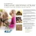 Organic Blue Mountain Hay Bedding Straw for Small Pets & Chickens - 3 lb Fresh Farm Delivery - Buy Online on GoSupps.com