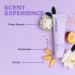 Buy FAB.ME Blonde Fortifying Purple Shampoo by DESIGNME | Toning Formula to Neutralize Brass & Yellow | Enriched with Hyaluronic Acid | Ideal for Blonde Hair - Buy Online on GoSupps.com
