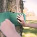 Lily's Things Tree Protectors for Ninja Slackline - Set of 2, 9ft Length - Tree Trunk Guard for Hammocks, Ziplines, Swings - Buy Online on GoSupps.com
