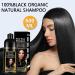 Natural Black Hair Coloring Shampoo 3-IN-1 Hair Coloring Shampoo Nourishing and Dyeing Brown Hair for Men and Women in 10-15 Mins(Natural Black) - Buy Online on GoSupps.com