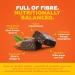 Yoga.bar 20g Protein Bars - Almond Fudge Flavor (6 x 70g) | Healthy Snack for Fitness | International Shipping Available - Buy Online on GoSupps.com