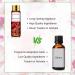 PHATOIL Strawberry Fragrance Oil - 10ml for Diffuser, Aromatherapy, Soap & Candle Making - Pack of 1 - Buy Online on GoSupps.com