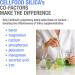 Cellfood Essential Silica Anti-Aging Formula 4 fl oz - Supports Healthy Bones, Joints, Hair, Skin, Nails, Teeth & Gums - Easy to Absorb Liquid - Gluten Free, Non-GMO - 40-Day Supply - Buy Online on GoSupps.com