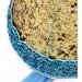 Stock Show Pet Birthday Party Cone Hat & Bow Tie Collar Set - Blue | Adjustable Headband for Small/Medium Dogs & Cats - Buy Online on GoSupps.com