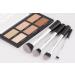 Profinish Contour & Sculpt Vegan Make Up Brush Set - Create defined contours for added depth and enhance your natural bone structure Silver - Buy Online on GoSupps.com
