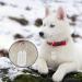 Personalized Stainless Steel Dog Tags | Custom Engraved Tags for Dogs & Cats | Camal Brand - Round Bone Heart & More Shapes - Buy Online on GoSupps.com