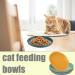 6 PCS Cat Bowls Cat Plate Cat Food Bowl Cat Food Dish Shallow Pet Bowls Kitten Food Bowl Cat Food Plate for Cats Fatigue Free Cat Feeding Bowls for Kittens and Small Animals Flat Cat Bowl - Buy Online on GoSupps.com