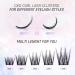 LANKIZ Cluster Lashes - DIY Featherlight Reusable Synthetic Eyelash Extensions - Honey C Curl 10-16mm - Buy Online on GoSupps.com