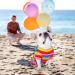 Tony Hoby Dog Suit - Soft Lightweight 4-Leg Dog Onesie for Small Medium Dogs | Rainbow Stripes Overall - Pink & Rainbow XL - Buy Online on GoSupps.com
