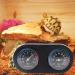 siwetg Reptile Tank Thermometer Hygrometer Monitor Temperature and Humidity in Vivarium Terrarium Turtle Box Double Disc Temperature and Humidity Meter NFF-54 - Buy Online on GoSupps.com