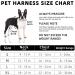 Rennaio No Pull Dog Harness & Adjustable Puppy Dishes Set - Ultra Comfortable Chest Harness & Leash for Small & Medium Dogs (Orange Size S) - Shop Internationally - Buy Online on GoSupps.com