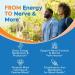 Surebounty 8-in-1 Vitamin B Complex Capsules for Women & Men, Super B Complex Vitamins, B12, B1, B2, B3, B5, B6, B9, Biotin, Folate, Methylated Forms, Energy, Nerve, Blood Support, 60 Caps - Buy Online on GoSupps.com