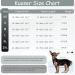 Kuoser Breathable Dog Body Suit for Post-Op Recovery - Anti-Wound XS Black for Male & Female Dogs - Buy Online on GoSupps.com
