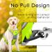 Thinkpet Anti Pull Dog Harness - Adjustable Reflective Body Harness with Handle for Easy Control - Breathable & Comfortable - Large Bright Green (1 Pack) - Buy Online on GoSupps.com
