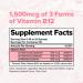 Complement Unflavored Protein & Triple B12 Spray Bundle Plant-Based Protein Powder and High-Potency B12 Supplement for Comprehensive Nutritional Support - Buy Online on GoSupps.com