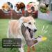 Shop Aquatic Human Squeaky Dog Toys - Crocodile Parrot Lizard & Wild Goose for All Dog Sizes - Buy Online on GoSupps.com