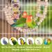 Vegan 9-Piece Bird Toys Set - Wooden Ladder with Landing Site for Budgies Parrots and Cockatoos - Colorful Cage Accessories - Buy Online on GoSupps.com