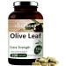 Olive Leaf Extract, 750mg Per Serving, Maximum Strength 20% Oleuropein, 200 Counts (200 Days Supply), Made with Olive Leaf for Immune and Internal Circulation Health Support, Non-GMO