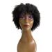 Buy Boccte Afro Kinky Curly Human Hair Short Wigs for Black Women | 8 Inch Kinky Bob Wig | Glueless Brazilian Curly Wigs | Natural Color | No Lace Front Wear & Go - Buy Online on GoSupps.com