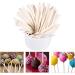  Pissente ColorfulSticks 100pcs Cake Sticks for Sweets Sweet Chocolate DIY Craft (White) - Buy Online on GoSupps.com