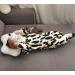 Dr. Brown Narrow Baby Bottle Handles - Easy Grip Bottle Holder for Baby Transition - BPA-Free Silicone - Pack of 4 - Buy Online on GoSupps.com