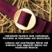 Adjustable Halter for Warmbloods & Thoroughbreds - Safe Tearproof Stable & Pasture Use | COB Bordeaux - Buy Online on GoSupps.com