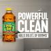 Pine-Sol All Purpose Cleaner Original Pine 40 Oz Bottles (2 Pack) - Packaging May Vary - Buy Online on GoSupps.com