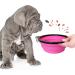 Petsation Foldable Dog Bowl - Original 1000ml Water & Food Bowl for On-the-Go - Ideal for Daily Use - Pink Travel Bowl - Buy Online on GoSupps.com