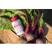 Country Farms Bountiful Beets Root Capsules - 90 Count | Natural Nitric Oxide Booster for Circulation and Immune Support - Buy Online on GoSupps.com