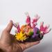TAOMYPETS Coral Decor for Aquariums | Resin Coral Reef Ornaments for Stunning Aquatic Displays - Buy Online on GoSupps.com