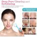 Silicone Manual Facial Cleansing Brush - NADUSEP 2 Pack Soft Bristles Waterproof Exfoliator for Blackheads & Makeup Removal (Blue Pink - Buy Online on GoSupps.com