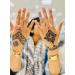 Jagua Henna Single Cone - Buy Online on GoSupps.com