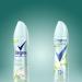 Degree Antiperspirant Spray Deodorant for Women Apple & Gardenia 72-Hour Protection 3.8 Ounce (Pack of 3) Apple and Gardenia 3.8 Ounce (Pack of 3) - Buy Online on GoSupps.com
