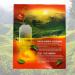 alibooster BOH Malaysian Black Tea 100 Bags of 2g Pure Tea in Infusion Rich and Robust Taste Without Artificial Flavors - Buy Online on GoSupps.com