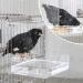 HOSUKKO No-Leakage Acrylic Bird Bath for Cage with 4 Hooks - Clear Parrot Parakeets Shower & Mess-Free Feeder - Small Bird Parrot Bathtub - Buy Online on GoSupps.com