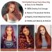 Reddish Brown Deep Wave Lace Front Human Hair Wig 180% Density | 13X4 HD Lace Frontal Copper Red Colored Curly Glueless Wig Pre Plucked for Black Women - Buy Online on GoSupps.com