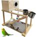 Kathson Parrots Playground Bird Playstand with Nest Box, Perch, Toys - Ideal for Conure, Cockatiel, Lovebirds - Birdcage Gym Playpen - Buy Online on GoSupps.com