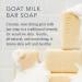 Beekman 1802 Goat Milk Soap Bar 9 oz - Honeyed Grapefruit - Nourishing, Moisturizing & Hydrating - Sensitive Skin Friendly - Cruelty Free - Buy Online on GoSupps.com