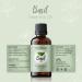 100% Pure Basil Essential Oil for Alertness - 1 oz Therapeutic Grade Aromatherapy Oil - Buy Online on GoSupps.com
