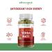 Yerba Mate Energy Capsules - Natural Herbal Caffeine for Energy & Focus | Supports Health & Metabolism | 125 Vegan Capsules - Buy Online on GoSupps.com