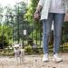 Ferplast Flippy One Dog Leash - 3m Roller Leash for Small Dogs up to 8kg Red - Easy Lock/Unlock Button - Buy Online on GoSupps.com
